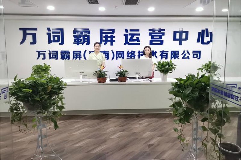 网络服务公司的精进之路：以客户为中心的策略案例